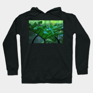 Big Leafy Leaf Hoodie